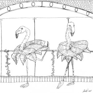 Im Ballettsaal - Flamingoblume